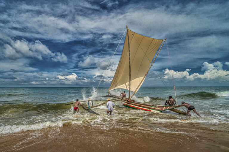 Ashane Marasinghe - Sail-into-Sea